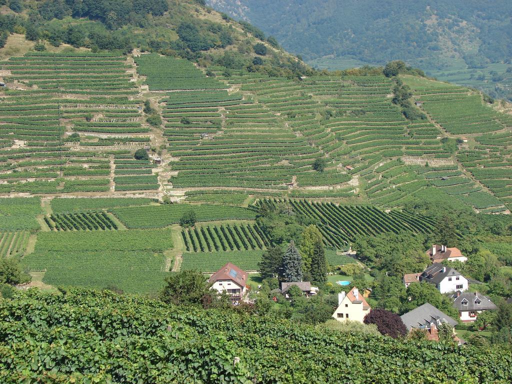 فندق Spitz an der Donauفي  Gastehaus Weinbergblick المظهر الخارجي الصورة